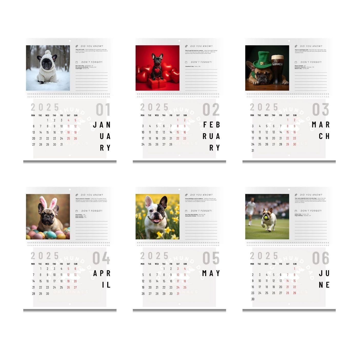 2025 Frenchie Fam Wall Calendar