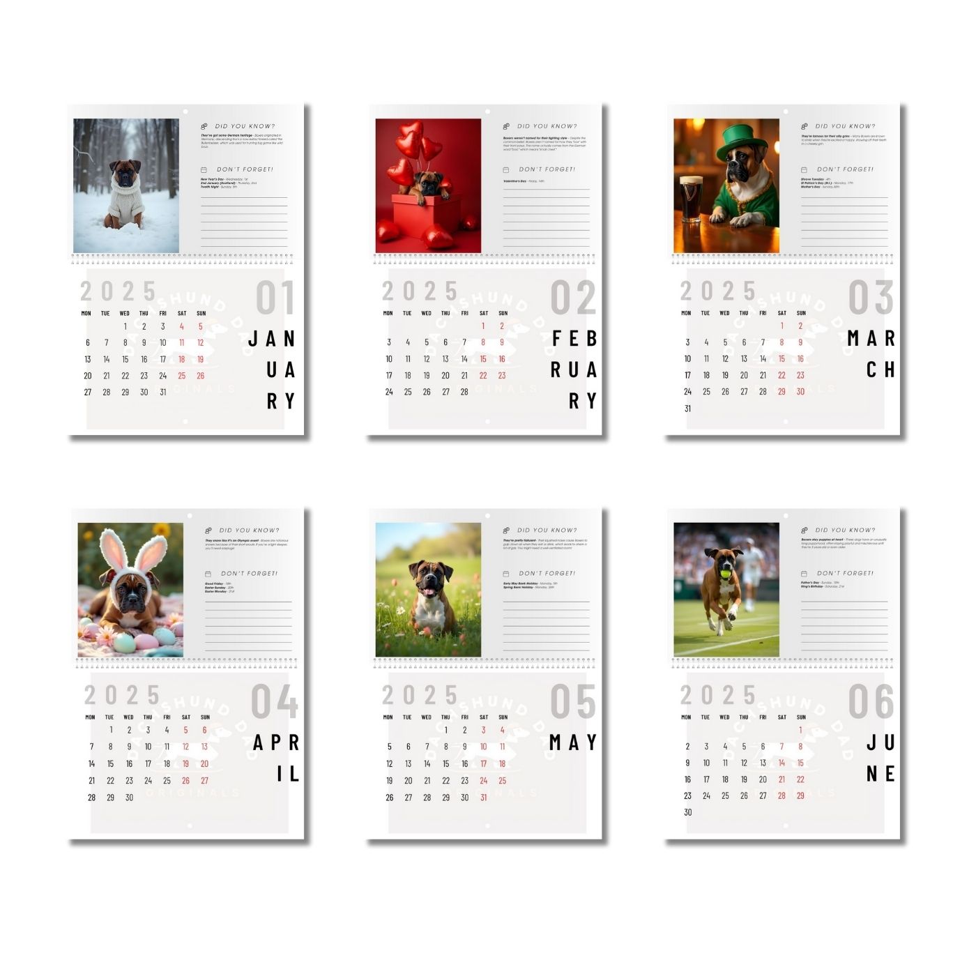 2025 Boxer Bros Wall Calendar